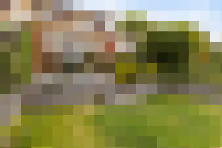Bunderriet 43 Groningen thumbnail 44