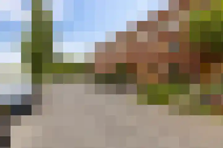 Bunderriet 43 Groningen thumbnail 48