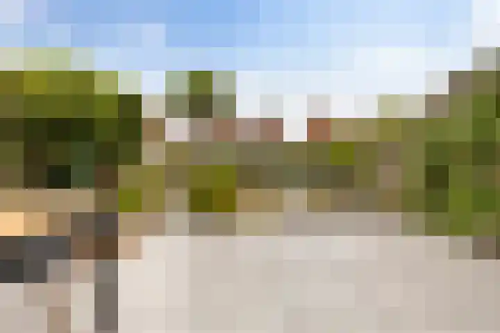 Bunderriet 43 Groningen thumbnail 5