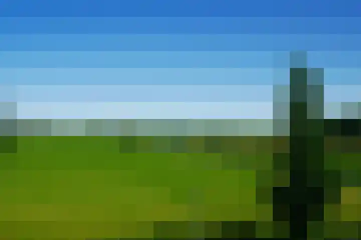 Bunderriet 43 Groningen thumbnail 51