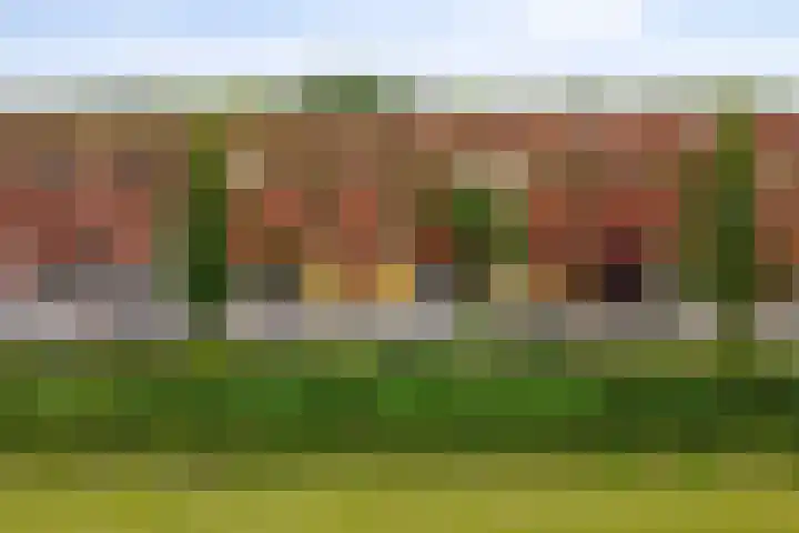 Bunderriet 43 Groningen thumbnail 8