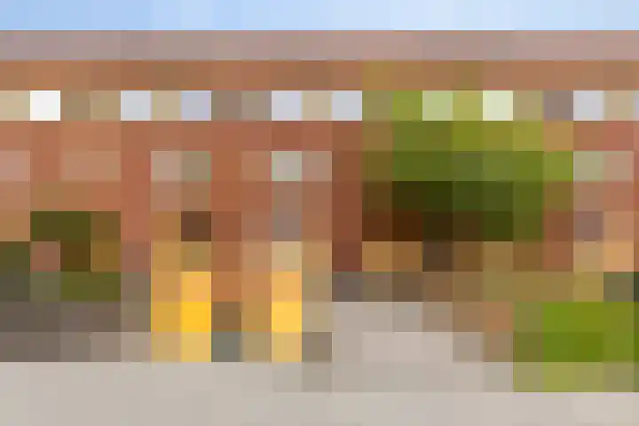 Bunderriet 43 Groningen thumbnail 9