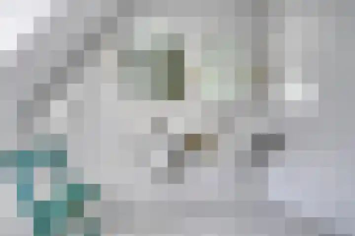 Bunders 2 Lieshout thumbnail 23