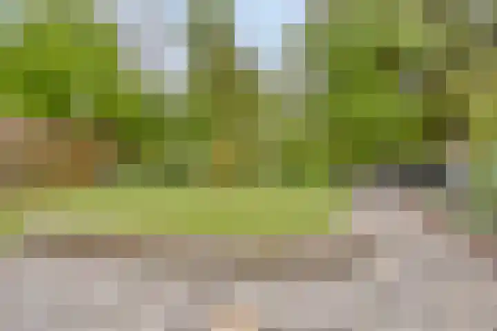 Bunders 2 Lieshout thumbnail 28