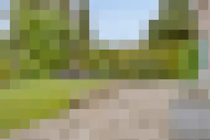 Bunders 2 Lieshout thumbnail 29