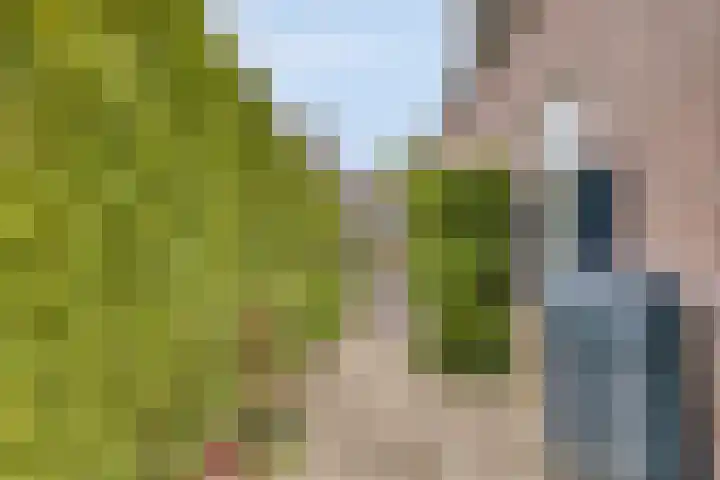 Bunders 2 Lieshout thumbnail 31