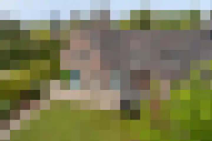Bunders 2 Lieshout thumbnail 33
