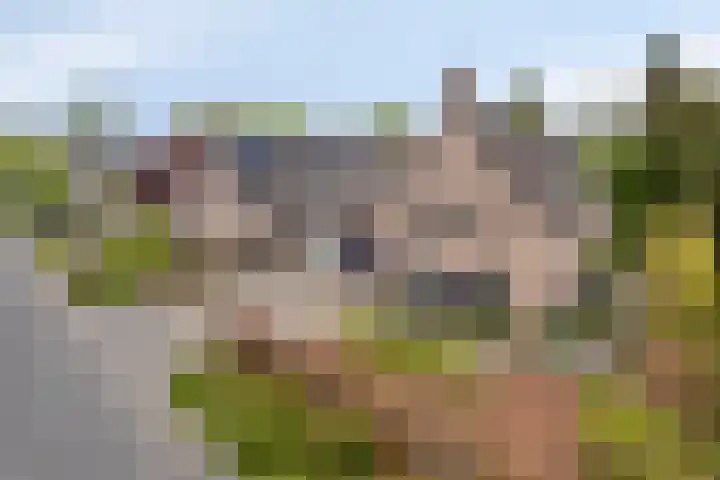 Bunders 2 Lieshout thumbnail 39
