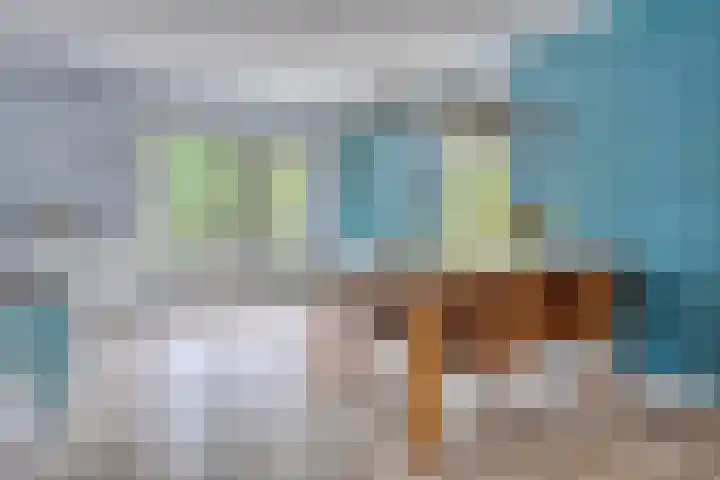 Bunders 2 Lieshout thumbnail 9