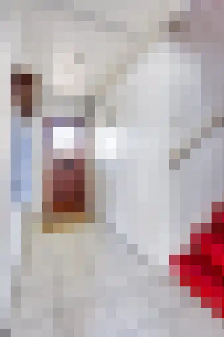 Bundersstraat 27 Oisterwijk thumbnail 8