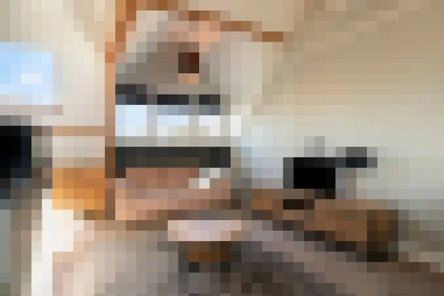Bunderstraat 26 Valkenswaard thumbnail 37