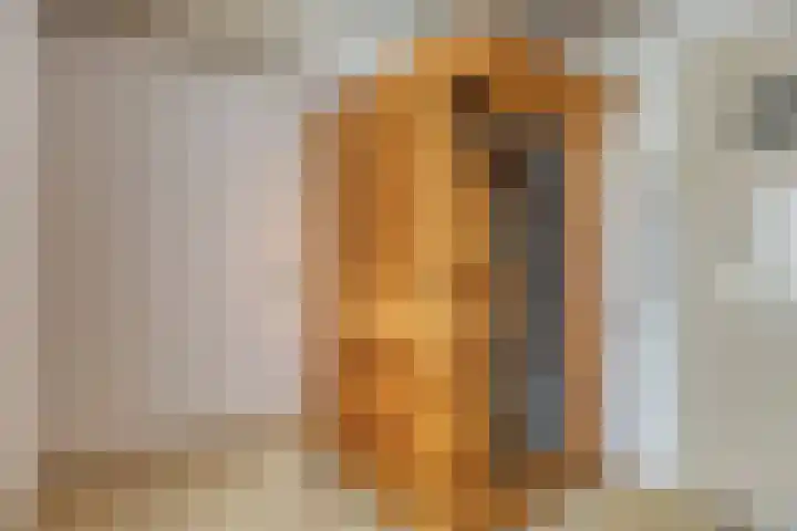 Bunderstraat 36 A Schijndel thumbnail 31