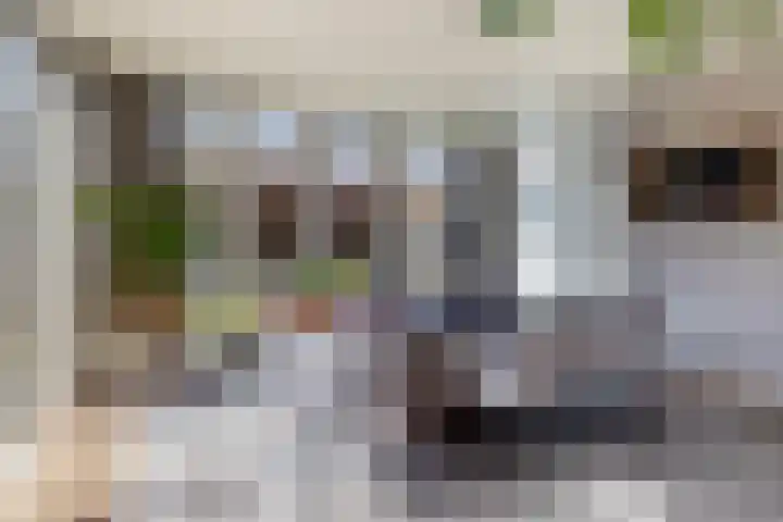 Bunderstraat 36 Schijndel thumbnail 4