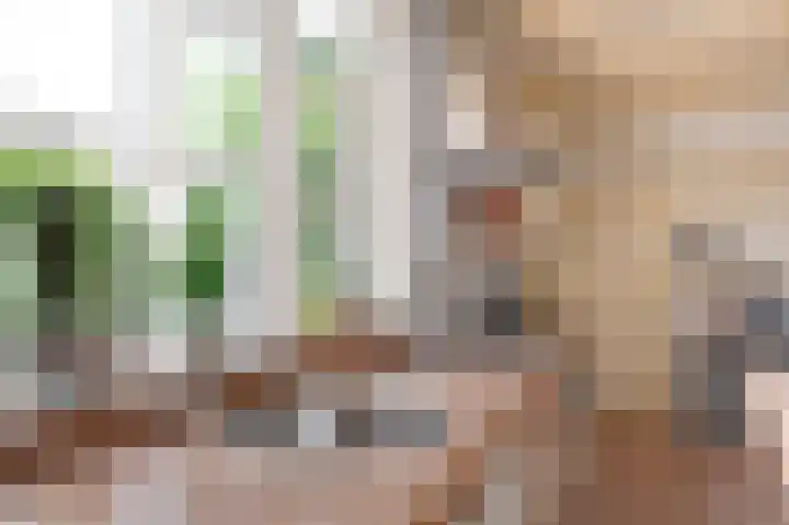 Bunderstraat 51 Schijndel thumbnail 8