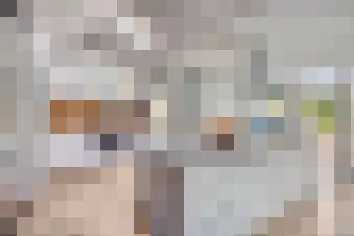 Bungweg 2 Landgraaf thumbnail 19