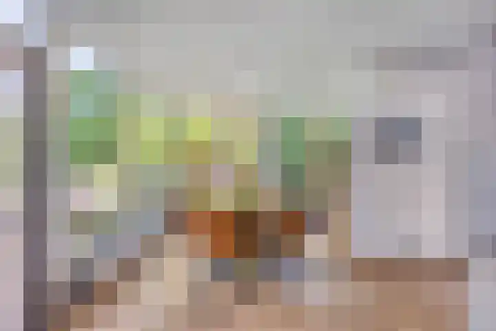 Bungweg 2 Landgraaf thumbnail 23