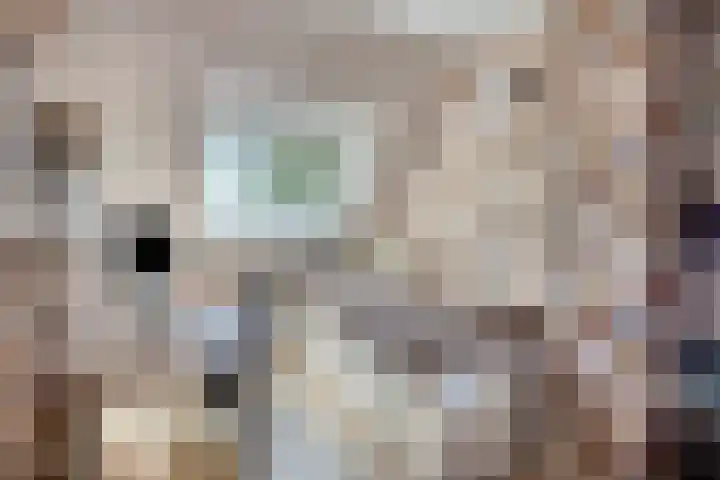 Bungweg 2 Landgraaf thumbnail 34