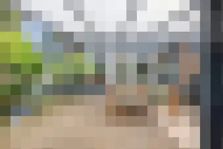 Bungweg 2 Landgraaf thumbnail 37