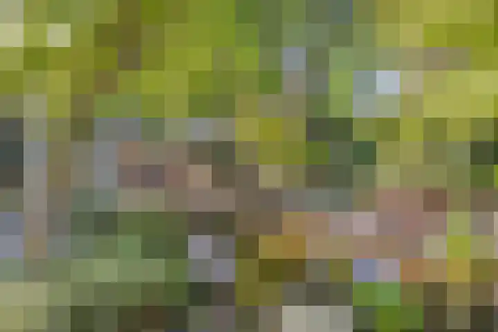 Bungweg 2 Landgraaf thumbnail 39