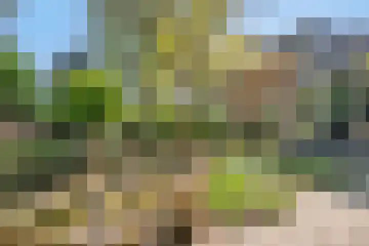 Bungweg 2 Landgraaf thumbnail 40