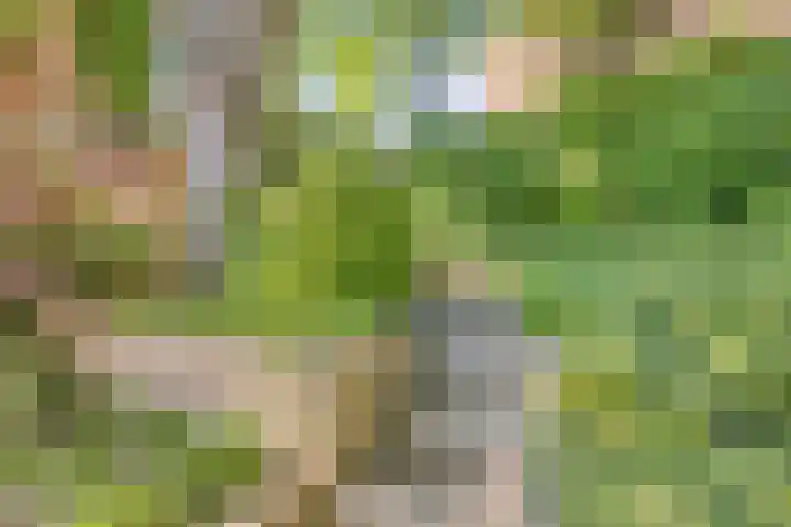 Bungweg 2 Landgraaf thumbnail 44