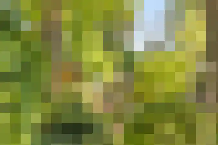 Bungweg 2 Landgraaf thumbnail 45