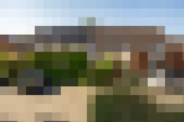 Bunnemaheerd 49 Groningen