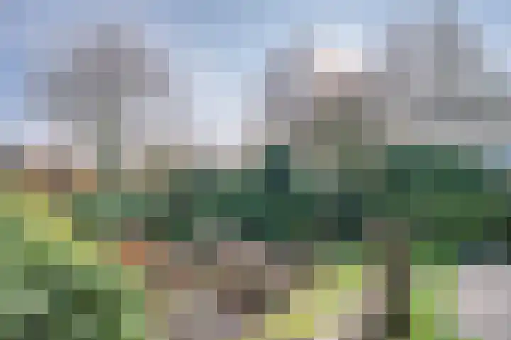Buntbeek 31 Veldhoven thumbnail 26