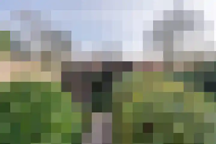 Buntbeek 31 Veldhoven thumbnail 27