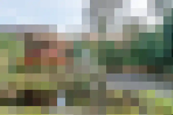 Buntbeek 31 Veldhoven thumbnail 28