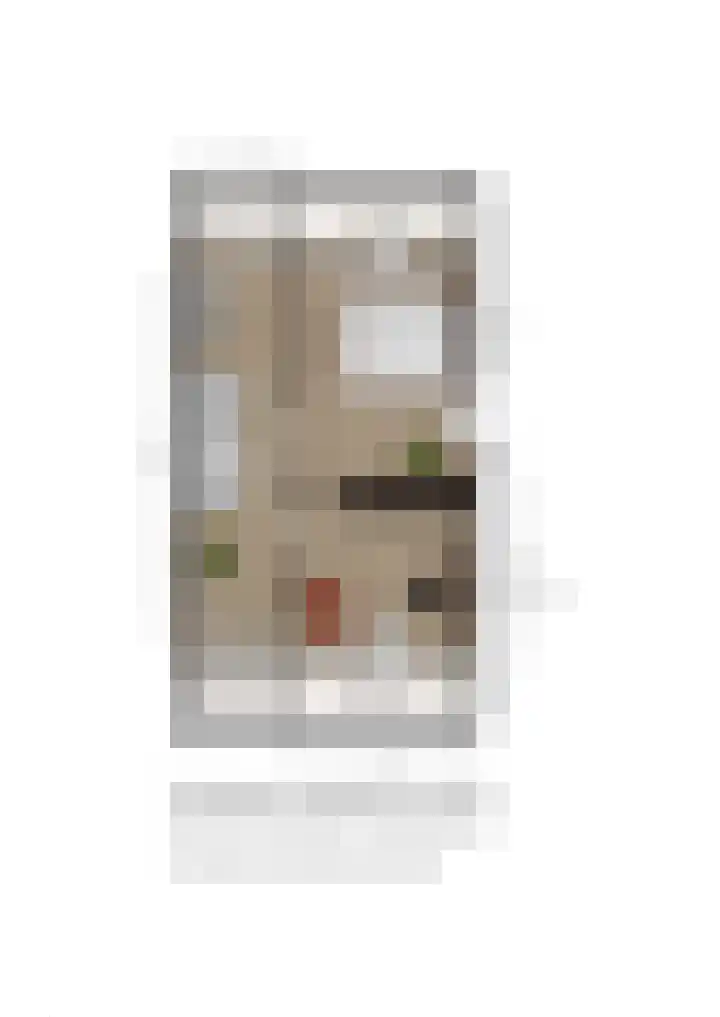 Buntgras 101 Spijkenisse thumbnail 24