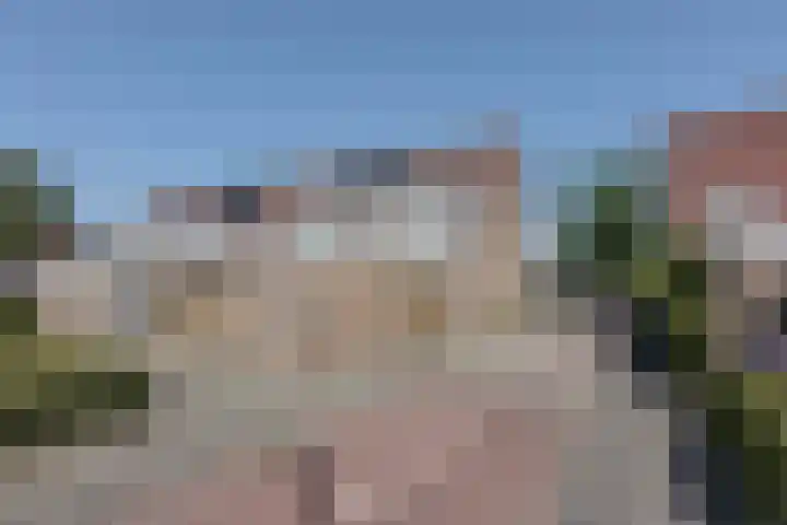 Buntgras 101 Spijkenisse thumbnail 31