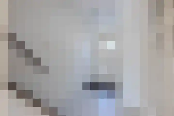 Buntgras 101 Spijkenisse thumbnail 8