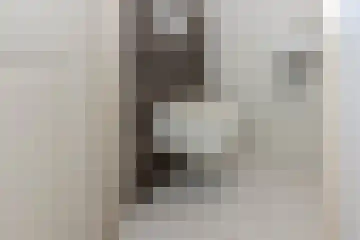 Buntgras 101 Spijkenisse thumbnail 9