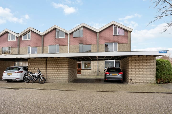 Buntgras 3 in Leiden foto