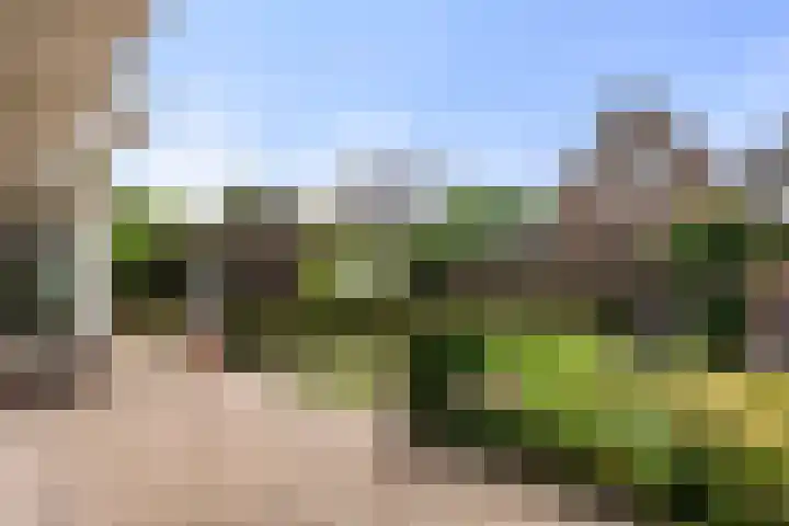 Bunthoeve 4 Bennekom thumbnail 13