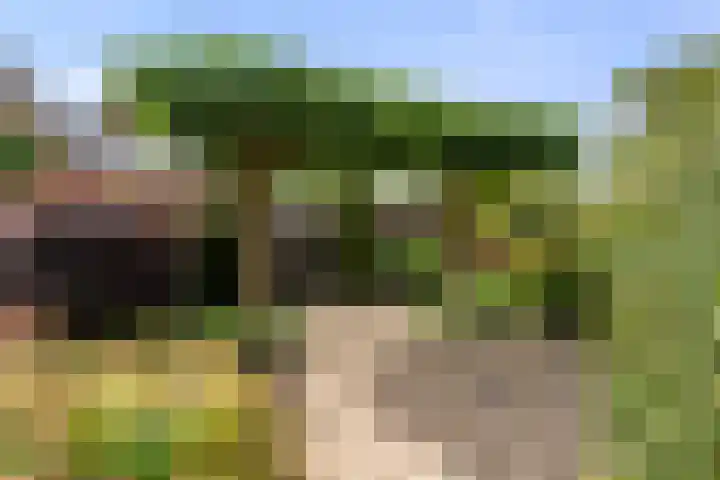 Bunthoeve 4 Bennekom thumbnail 14