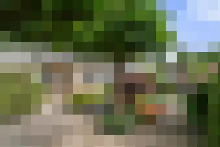 Bunthoeve 4 Bennekom thumbnail 16