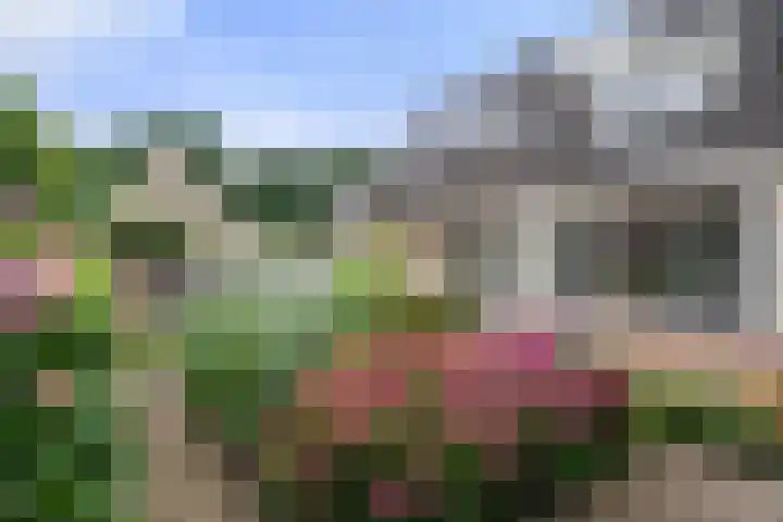 Bunthoeve 4 Bennekom thumbnail 19