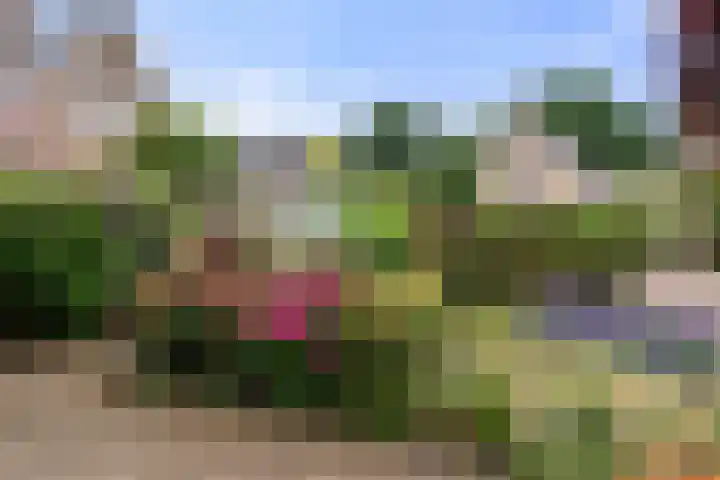 Bunthoeve 4 Bennekom thumbnail 20