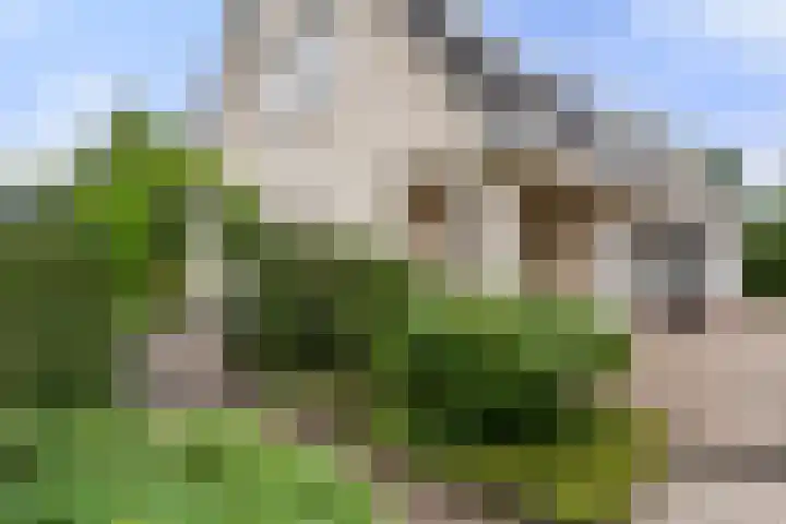 Bunthoeve 4 Bennekom thumbnail 25