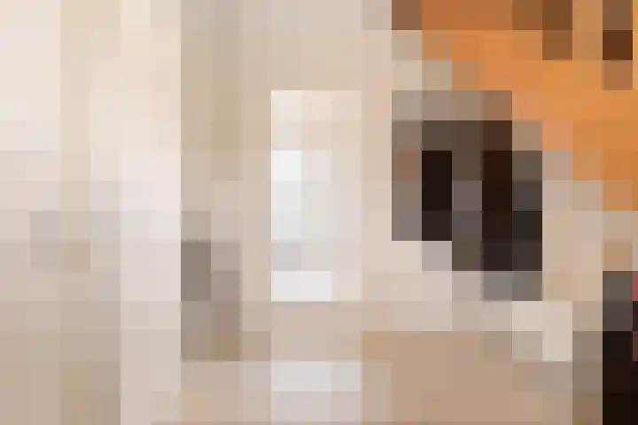 Bunthoeve 4 Bennekom thumbnail 27