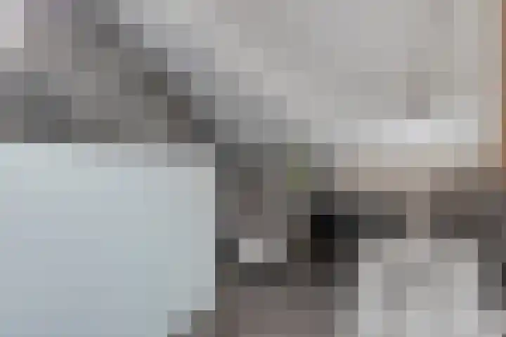 Buntlaar 24 Terheijden thumbnail 23
