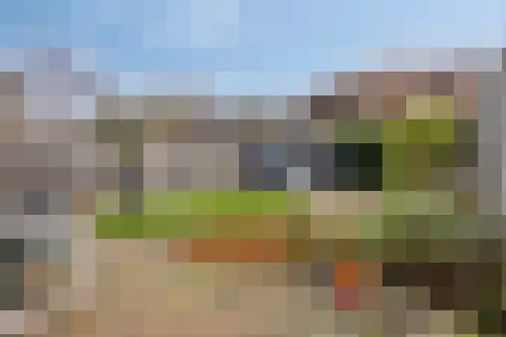 Buntlaar 24 Terheijden thumbnail 31