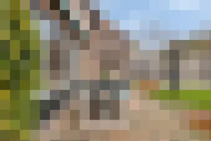 Buntlaar 24 Terheijden thumbnail 32