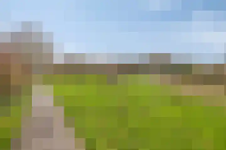 Buntlaar 24 Terheijden thumbnail 34