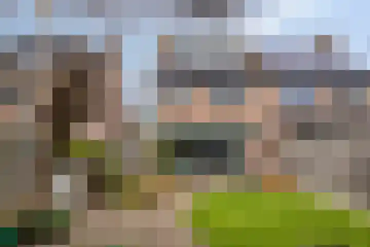 Buntlaar 24 Terheijden thumbnail 4