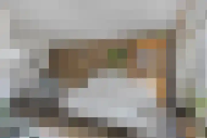 Buntlaar 24 Terheijden thumbnail 9