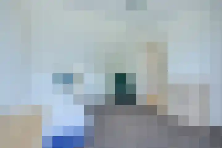 Buñuellaan 49 Almere thumbnail 22