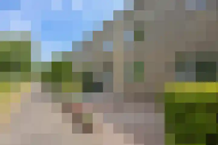 Buñuellaan 49 Almere thumbnail 31
